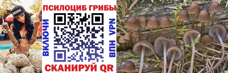 как найти наркотики Ясный shop формула Псилоцибиновые грибы GOLDEN TEACHER